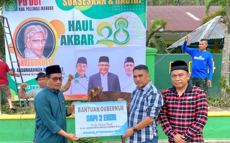 PENYERAHAN. Plh Sekda Provinsi Sulbar Amujib menyerahkan sumbangan sapi dari Pj Gubernur Sulbar Bahtiar Baharuddin kepada Panitia Haul Akbar AGH Abdurrahman Ambo Dalle di Pondok Pasantren DDI Polman, Sulbar, Rabu (27/11/2024). foto: istimewa