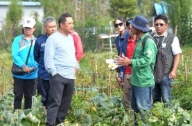 Wujudkan Swasembada Pangan, Pj Gubernur Sulbar Maksimalkan Pengelolaan Hortikultura di Nosu