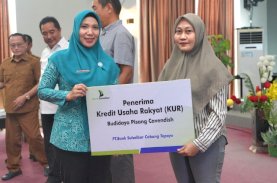 Terfasilitasi Modal dari Pemprov Sulbar, Petani di Mateng Optimistis Berhasil Kembangkan Pisang Cavendish