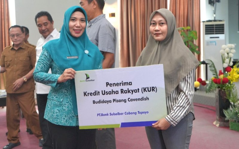 BANTUAN. Pj Ketua TP PKK Provinsi Sulbar, Sofha Marwah Bahtiar, melakukan penyerahan Kredit Usaha Rakyat (KUR) kepada Petani Budidaya Pisang Cavendish di Mamuju, Selasa (26/11/2024). foto: istimewa