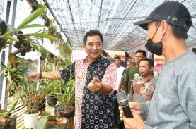 Etalase Anggrek dan Pembibitan Hortikultura Jadi Pusat Promosi, Edukasi serta Wisata Baru