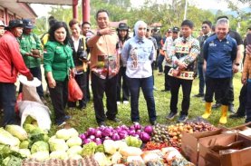 Sulbar Peringkat 11 Terbaik Nasional Pengendalian Inflasi, Pasar Murah Sasar Pelosok Terus Berjalan