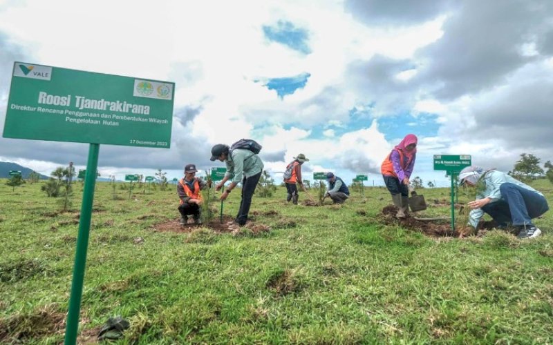 REHABILITAS. PT Vale Indonesia Tbk (PT Vale) komitmen menciptakan lingkungan yang lestari dengan mendukung rehabilitasi DAS di Sulsel. foto: istimewa
