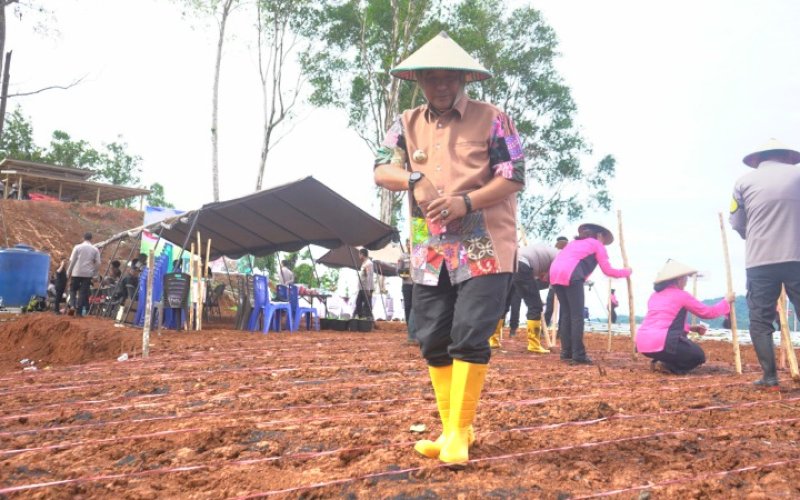 Bahtiar Baharuddin. foto: istimewa