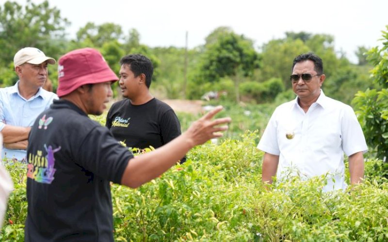 KUNJUNGAN. Pj Gubernur Sulbar, Bahtiar Baharuddin, mengunjungi Kawasan Pertanian Terpadu Laskar Pelangi Kecamatan Maiwa, Kabupaten Enrekang, Sulsel, Senin (10/2/2025). foto: istimewa