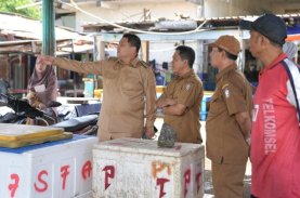Wali Kota Makassar Sidak Pasar Ikan Lelong Rajawali, Tekankan Perlu Revitalisasi