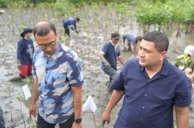 Wali Kota Makassar Tekankan Manfaat Mangrove untuk Lingkungan dan Ekonomi