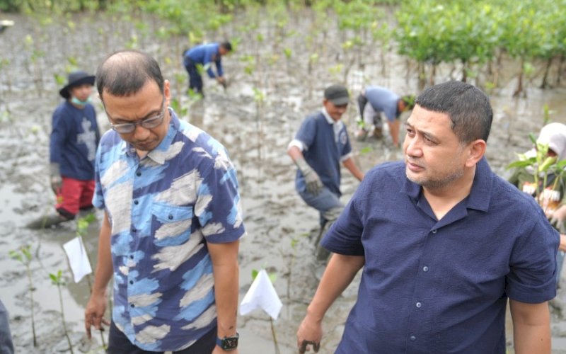TANAM MANGROVE. Wali Kota Makassar Munafri Arifuddin didampingi Sekda Kota Makassar Andi Zulkifly Nanda menghadiri penanaman mangrove di kawasan wisata mangrove Dermaga A, Kelurahan Untia, Kecamatan Biringkanaya, Kota Makassar, Minggu (1/6/2025). foto: istimewa