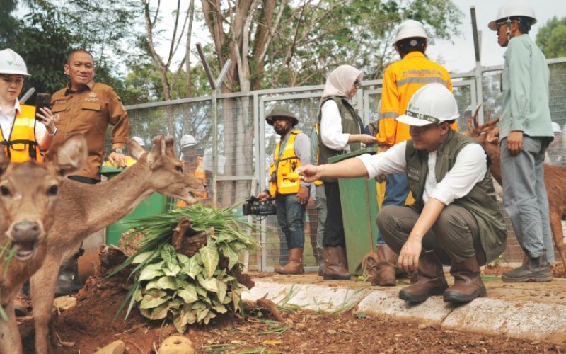 KUNJUNGAN. Menteri Kehutanan Republik Indonesia, Raja Juli Antoni, memberi makan rusa di sela-sela kunjungan ke wilayah operasional PT Vale Indonesia di Sorowako, Kabupaten Luwu Timur, Sulsel, Jumat (13/6/2025). foto: istimewa