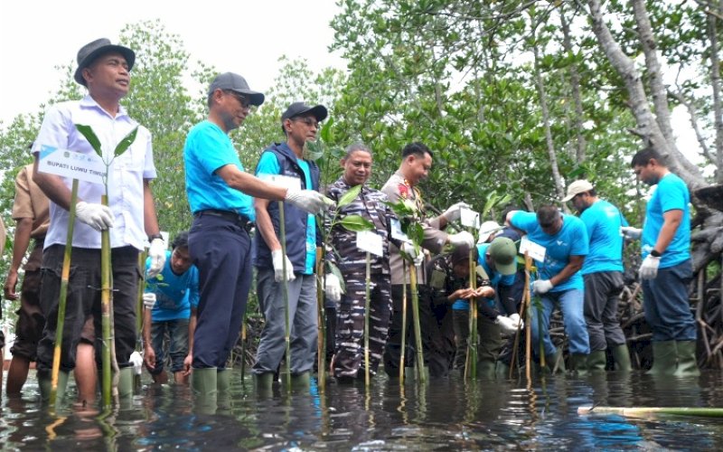 TANAM MANGROVE. PT Vale Indonesia Tbk (PT Vale) menanam 2.000 bibit mangrove dan melaksanakan restorasi lamun serta terumbu karang di kawasan pesisir Pasi-pasi, Malili, Luwu Timur (Lutim), Sulsel. foto: istimewa
