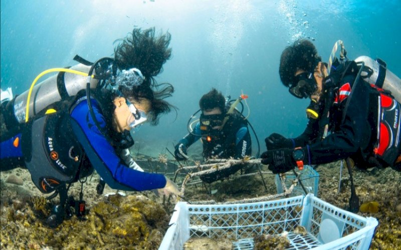 PENANAMAN. PT Vale Indonesia Tbk (PT Vale) memperkuat komitmen terhadap keberlanjutan lingkungan melalui aksi strategis di Pulau Bulupoloe, Sulsel, menanam 25 struktur terumbu karang buatan (spider reef) dan mengangkat lebih dari 200 kilogram sampah dari garis pantai yang terancam. foto: istimewa