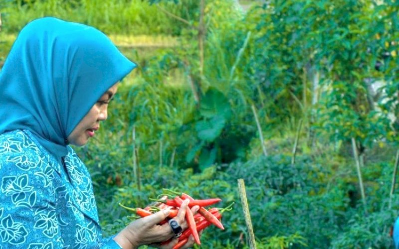 PRESTASI. Ketua PKK Kabupaten Bulukumba, Andi Herfida Muchtar. Inovasi Gemoih yang digagas Tim Penggerak PKK Kabupaten Bulukumba berhasil menjadi juara II pada ajang kompetisi internasional Competition of Public Sector Innovation (COPSI) 2025, Selasa (26/8/2025). foto: istimewa