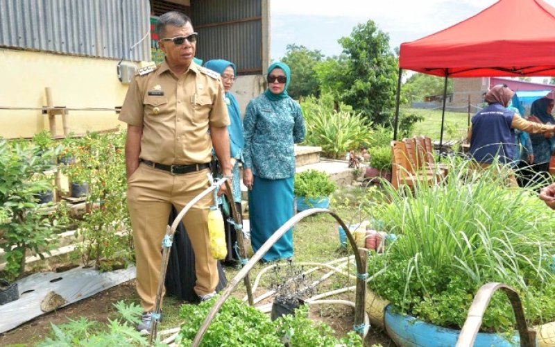 GEMOIH. Bupati Bulukumba Andi Muchtar Ali Yusuf bersama Ketua TP PKK Bulukumba Andi Herfida Muchtar meninjau Gerakan Menanam Lombok Nikmati Hasilnya (Gemoih) yang dijalankan PKK Kabupaten Bulukumba. foto: istimewa