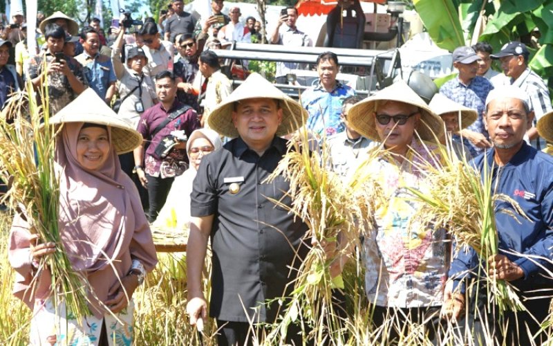 PANEN. Wali Kota Makassar, Munafri Arifuddin, panen padi saat membuka Musyawarah Tani Abbulo Sibatang Kota Makassar di Kelompok Tani Manyikkoaya, Jl Arung Teko (belakang Gudang PPLP) Makassar, Kamis (14/8/2025). foto: istimewa