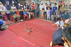 Keseruan Lomba Tangkap Bebek Tutup Semarak HUT Kemerdekaan RI Ke-80 di Kampung Gaddea Bulukumba