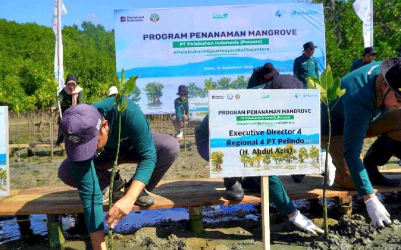 PENGHIJAUAN. PT Pelabuhan Indonesia (Persero) atau Pelindo Regional 4 melakukan Kick Off Rehabilitasi Mangrove Tahun 2025 dengan mengusung tema 'Pelabuhan Hijau Masyarakat Sejahtera' bertepatan dengan peringatan Hari Maritim Nasional di Kabupaten Bone, Sulsel, Selasa (23/9/2025). foto: istimewa