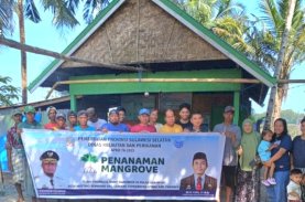 Pemprov Sulsel Galakkan Penanaman Mangrove di Empat Kabupaten, Dukung Ekonomi Biru dan Rehabilitasi Pesisir