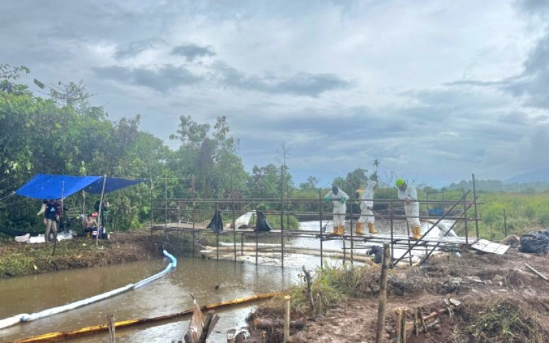 PEMULIHAN. PT Vale Indonesia Tbk (PT Vale) bersama pemerintah dan warga terus melakukan pemulihan insiden kebocoran pipa minyak di Kecamatan Towuti, Luwu Timur. foto: istimewa