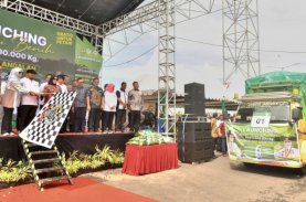 Gubernur Sulsel Luncurkan Mandiri Benih Padi Andalan