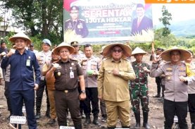 Wujudkan Swasembada Pangan, Forkopimda Parepare Penanaman Jagung