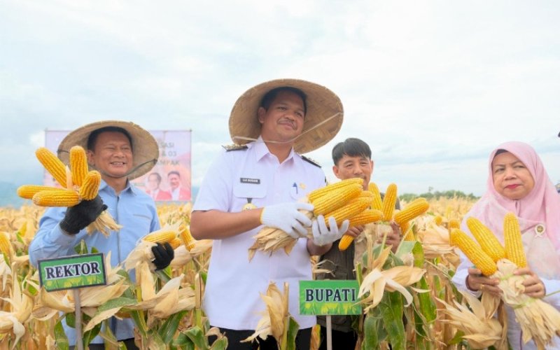 M Fathul Fauzy Nurdin. foto: istimewa