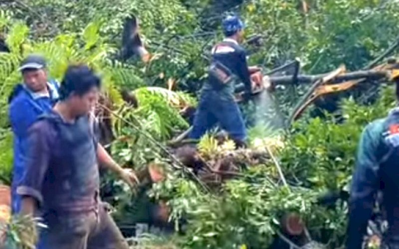 Ilustrasi. foto: istimewa