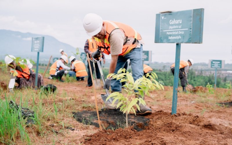 Ilustrasi. foto: istimewa