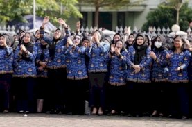 Andi Sudirman Sulaiman Beri THR untuk PPPK Paruh Waktu