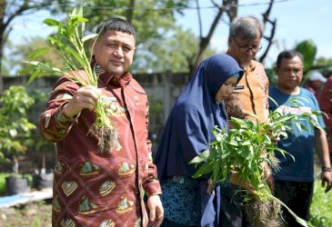Munafri Arifuddin Tinjau Urban Farming di Tamalate-Wajo, Targetkan Kemandirian Pangan bagi Warga