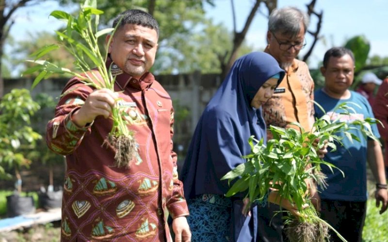 KURBAN FARMING. Wali Kota Makassar, Munafri Arifuddin, mengunjungi urban farming, Kamis (30/4/2026). foto: istimewa