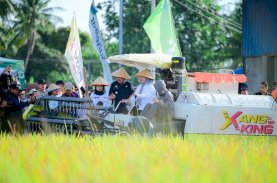 Panen Raya Pinrang Capai 6,8 Ton Per Hektare, Perkuat Peran Sulsel sebagai Lumbung Pangan