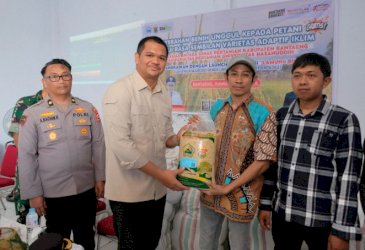 Pemkab Bantaeng Perkuat Ketahanan Pangan Lewat Distribusi Benih Unggul