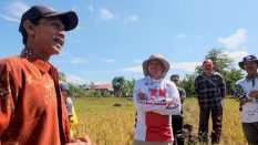 Uji Nurdin Tinjau Pertanian Terdampak Cuaca Estrem