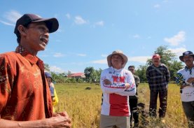 Uji Nurdin Tinjau Pertanian Terdampak Cuaca Estrem
