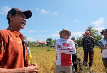 Uji Nurdin Tinjau Pertanian Terdampak Cuaca Estrem