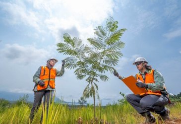 Vale Produksi Nikel Matte 13.620 Metrik Ton