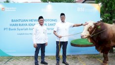 BSI Salurkan Lebih 24 Ribu Hewan Kurban