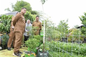 Munafri Arifuddin Minta Warga Maksimalkan Pekarangan Rumah