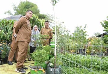 Munafri Arifuddin Minta Warga Maksimalkan Pekarangan Rumah