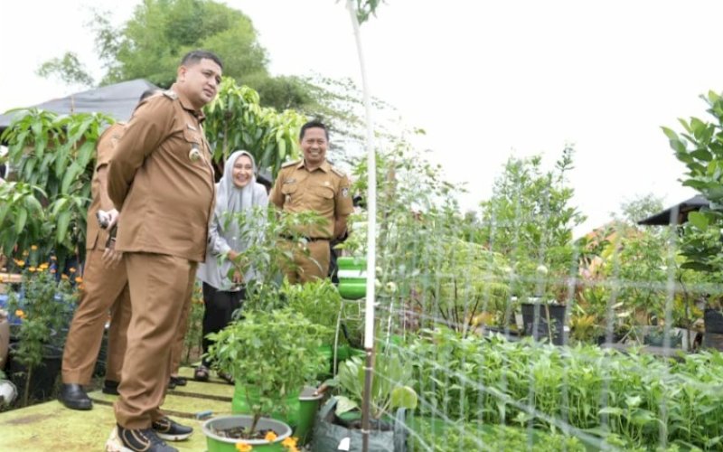 PEMANTAUAN. Wali Kota Makassar, Munafri Arifuddin, memantau salah satu lokasi pertanian perkotaaan di sela-sela menghadiri kegiatan urban farming dan pertemuan dengan tokoh masyarakat serta Ketua RT/RW di RW 02, RT 03, Kelurahan Paccerakkang, Kecamatan Biringkanaya, Selasa (19/5/2026). foto: istimewa