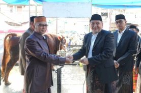 Pemkot Makassar Distribusikan 7.261 Sapi dan 402 Kambing Kurban