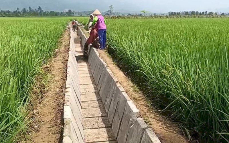 Ilustrasi. foto: istimewa