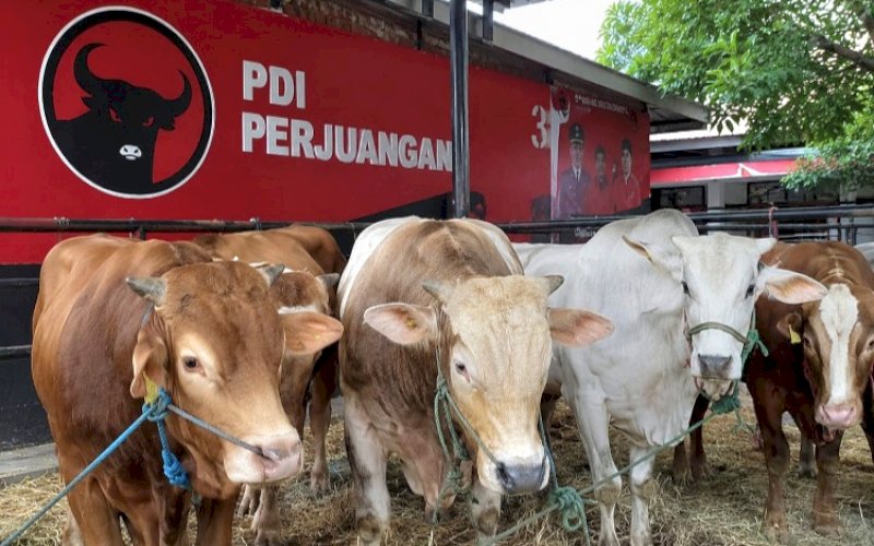Ilustrasi. foto: istimewa