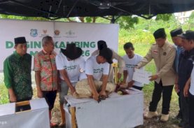 Baznas Bulukumba Sembelih 129 Ekor Kambing Dam Jemaah Haji, Dibagi ke Panti Asuhan dan Ponpes