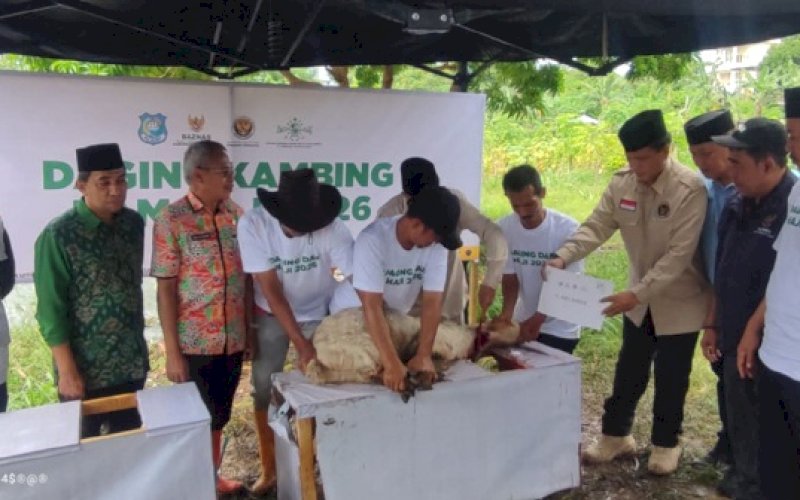 DAM. Sekda Kabupaten Bulukumba Muh Ali Saleng, Kepala Kantor Kementerian Haji dan Umrah Bulukumba Abdul Hakim Bohari, dan para pimpinan Baznas menghadiri penyembelihan hewan dam jemaah haji Indonesia asal Kabupaten Bulukumba Tahun 1447 H/2026 M di Balai Ternak Samaturue, Desa Taccorong, Kecamatan Gantarang, Bulukumba, Kamis (11/6/2026). foto: istimewa