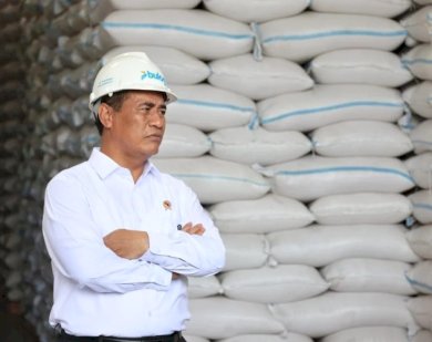 https://pluz.id/2026/06/22/laporan-fao-juni-2026-indonesia-produsen-beras-tertinggi-di-asia-tenggara-dan-nomor-empat-sedunia/