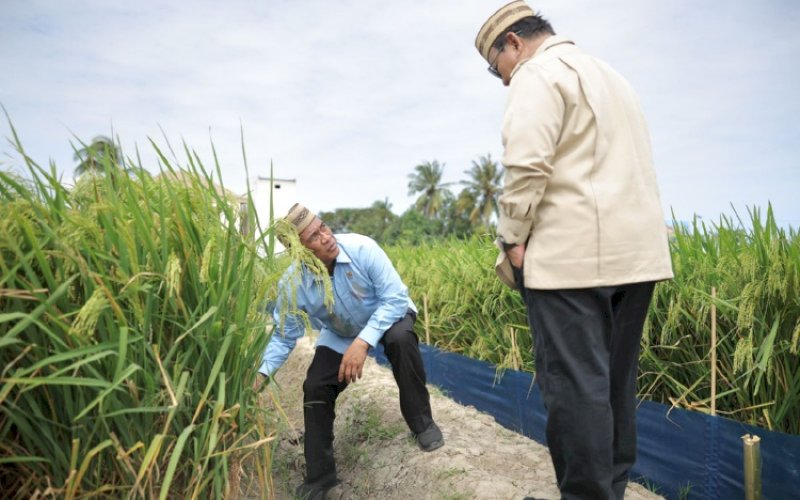 Prabowo Subianto-Andi Amran Sulaiman. foto: istimewa