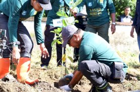 Andi Utta Tanam Pohon di Kindang Bulukumba Warnai Hari Lingkungan Hidup Sedunia 2026