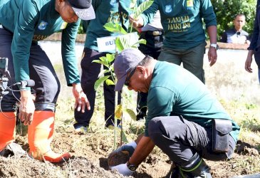 Andi Utta Tanam Pohon di Kindang Bulukumba Warnai Hari Lingkungan Hidup Sedunia 2026