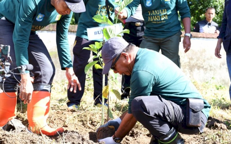 TANAM POHON. Bupati Bulukumba, Andi Muchtar Ali Yusuf, ikut langsung aksi penanaman pohon produktif di sekeliling Lapangan Borong Rappoa, Kecamatan Kindang, Kabupaten Bululumba, Jumat (5/6/2026). foto: istimewa